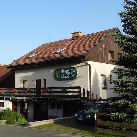 Pension Arnika Destne v Orlickych horach Extérieur photo