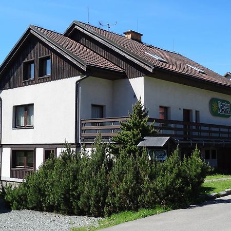 Pension Arnika Destne v Orlickych horach Extérieur photo