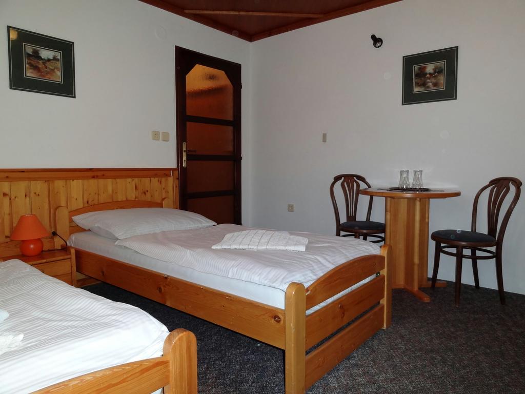Pension Arnika Destne v Orlickych horach Extérieur photo