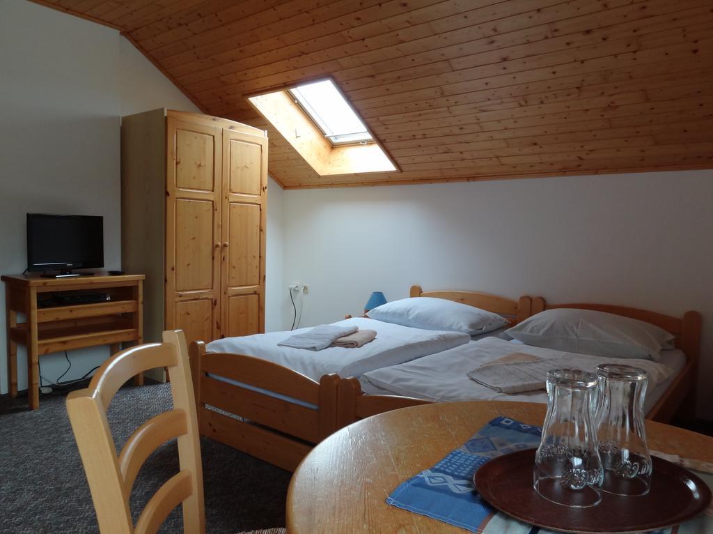 Pension Arnika Destne v Orlickych horach Extérieur photo
